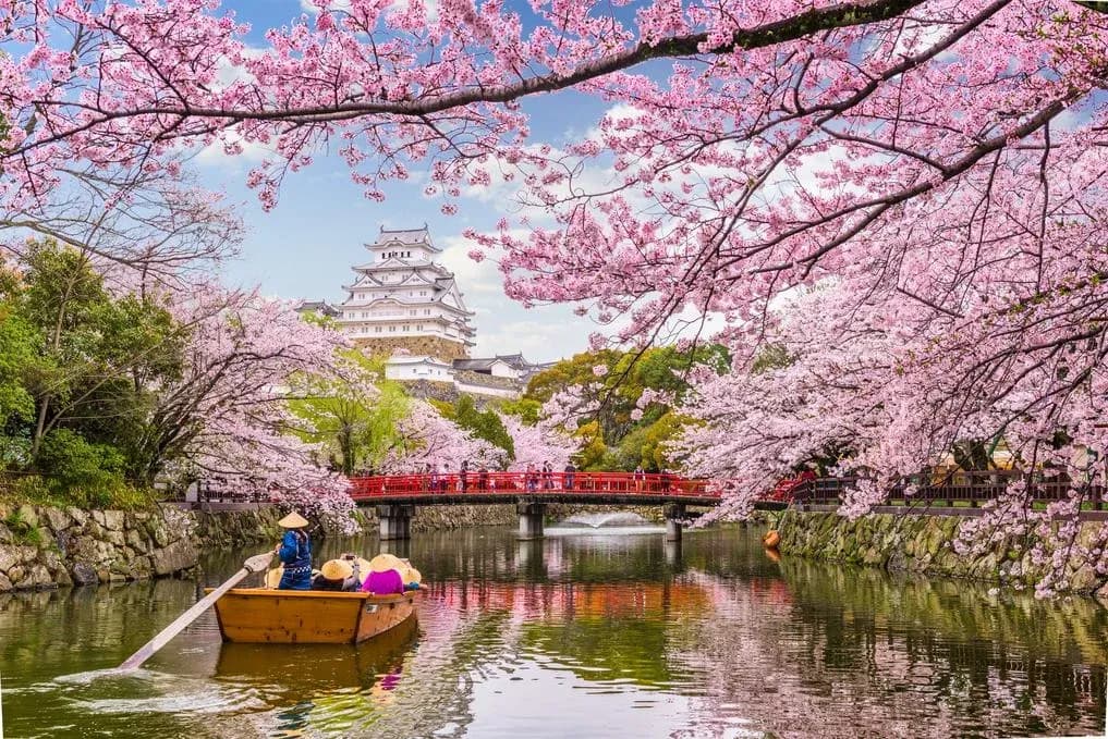 Japan!! background