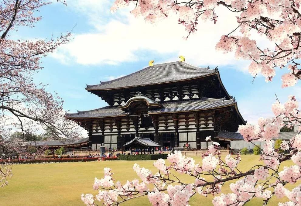 Japan!! Package